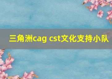 三角洲cag cst文化支持小队